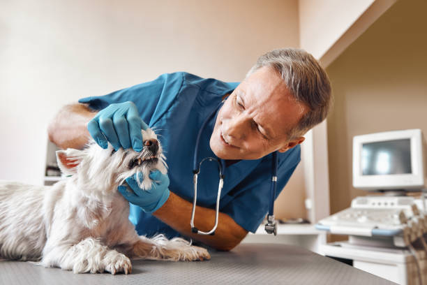 Best Root Canal Emergency Dentist  in Baldn, WI